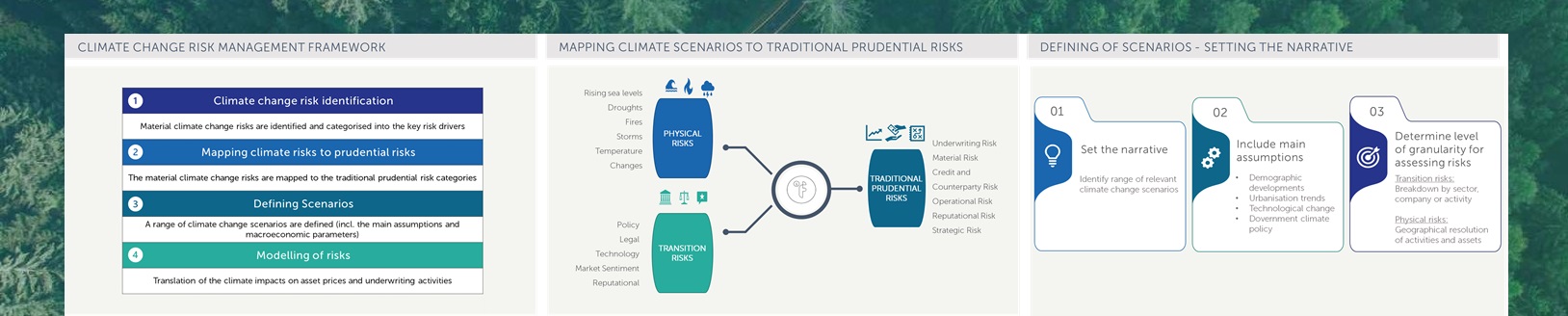 Climate change risk scenarios in the ORSA - free educational workshop by Finalyse